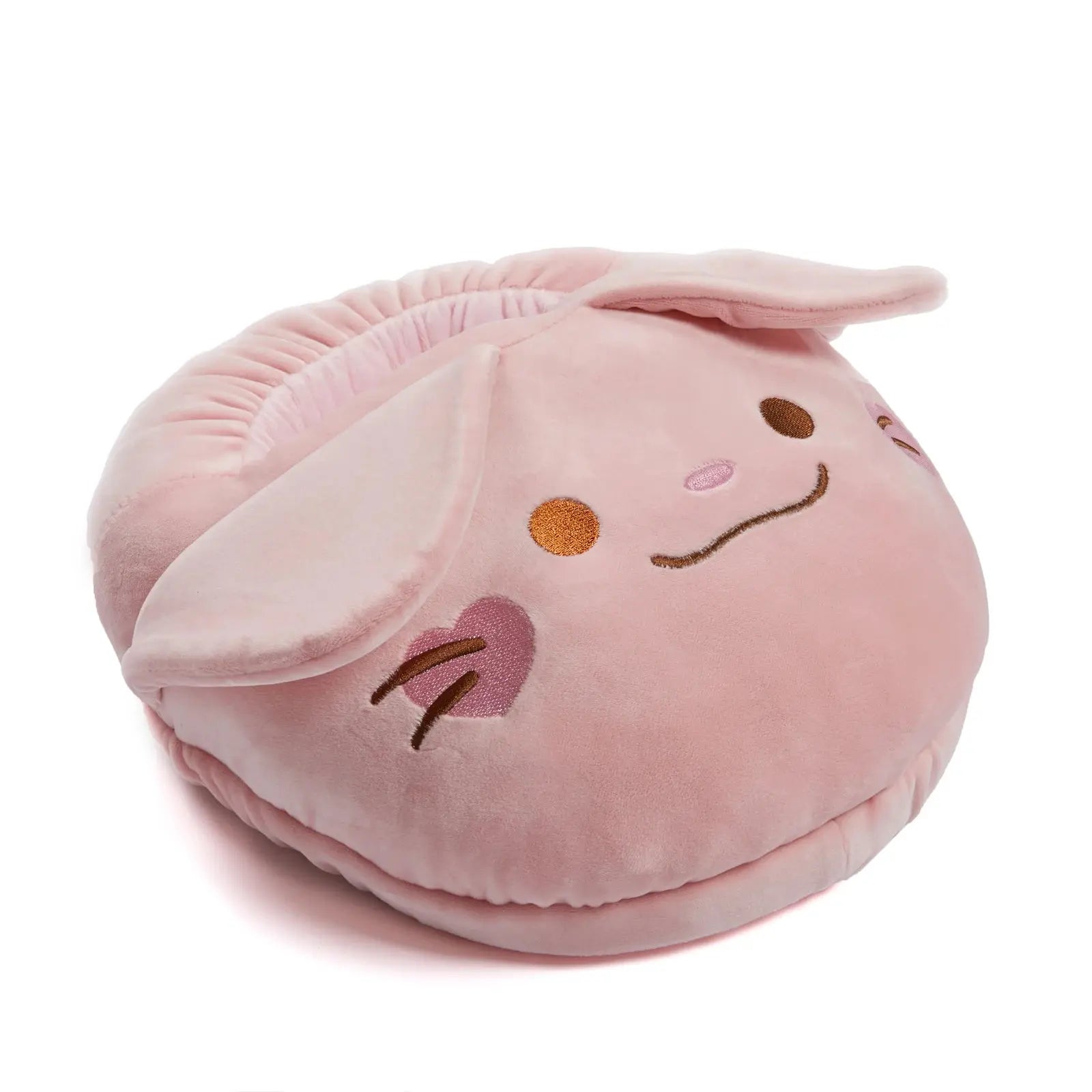 PANTOUFLESCHAUFFEPIEDS14